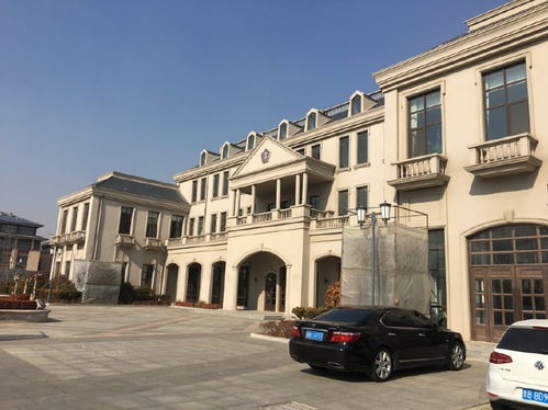 回家過年帶健康,紫斐藍莓酒適合家人朋友齊分享