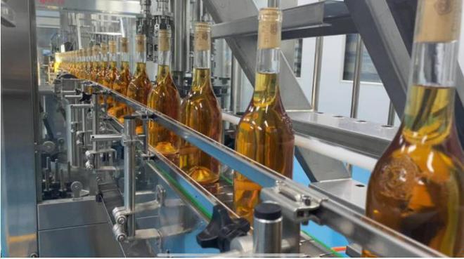 青島紫斐:匠心筑夢,打造藍莓酒界的中國&ldquo;拉菲&rdquo;