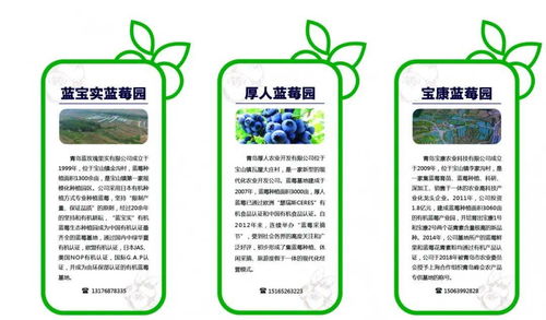 青島市唯一入選 新區寶山鎮獲第十批全國 一村一品 示范村鎮